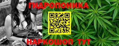 apvp Кунгур