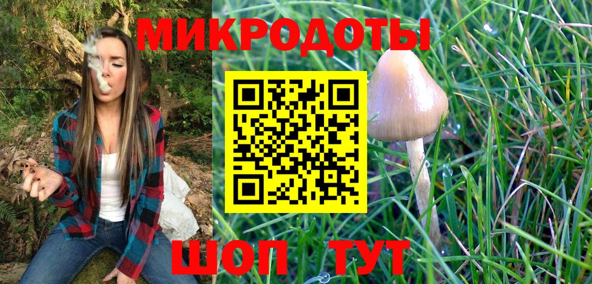 Камышин  Псилоцибиновые грибы мухоморы  Псилоцибиновые грибы GOLDEN TEACHER  Вход с VPN 